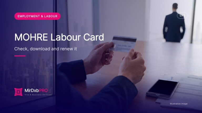 MOHRE Labour Card 2026: What It Shows, How to Check, Download and Renew It, and the Company Labour Card (illustrative photo)